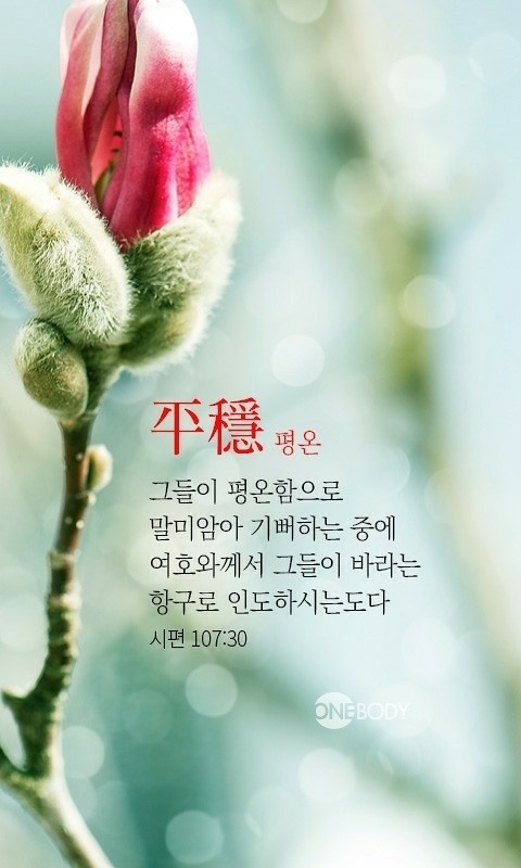 마당쇠 빗자루 이미지