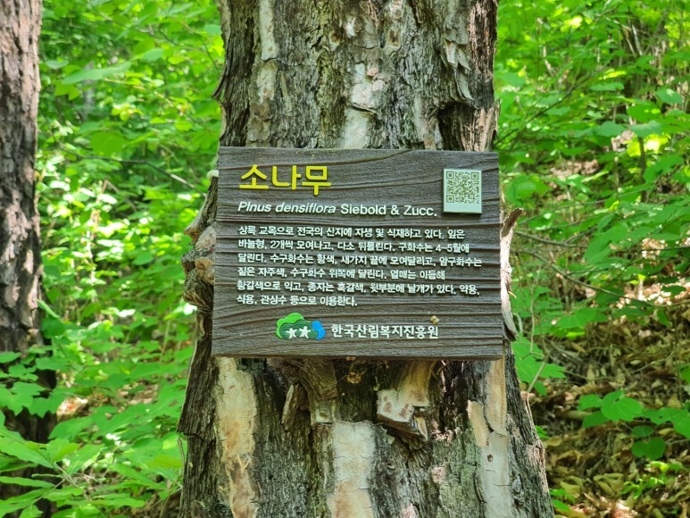 제천 치유의 숲 이미지