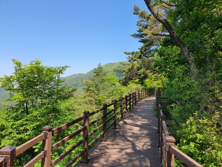 제천 치유의 숲 이미지