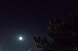 달밤 이미지
