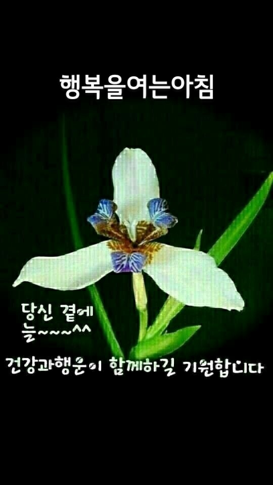 행복한 하루 이미지