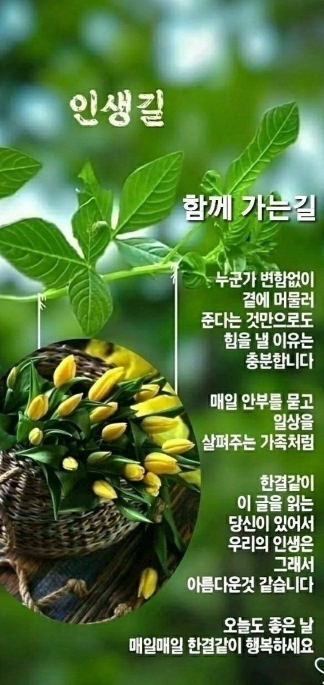 행복한 하루 이미지