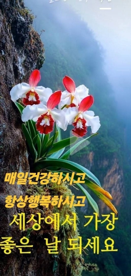 행복한 하루 이미지