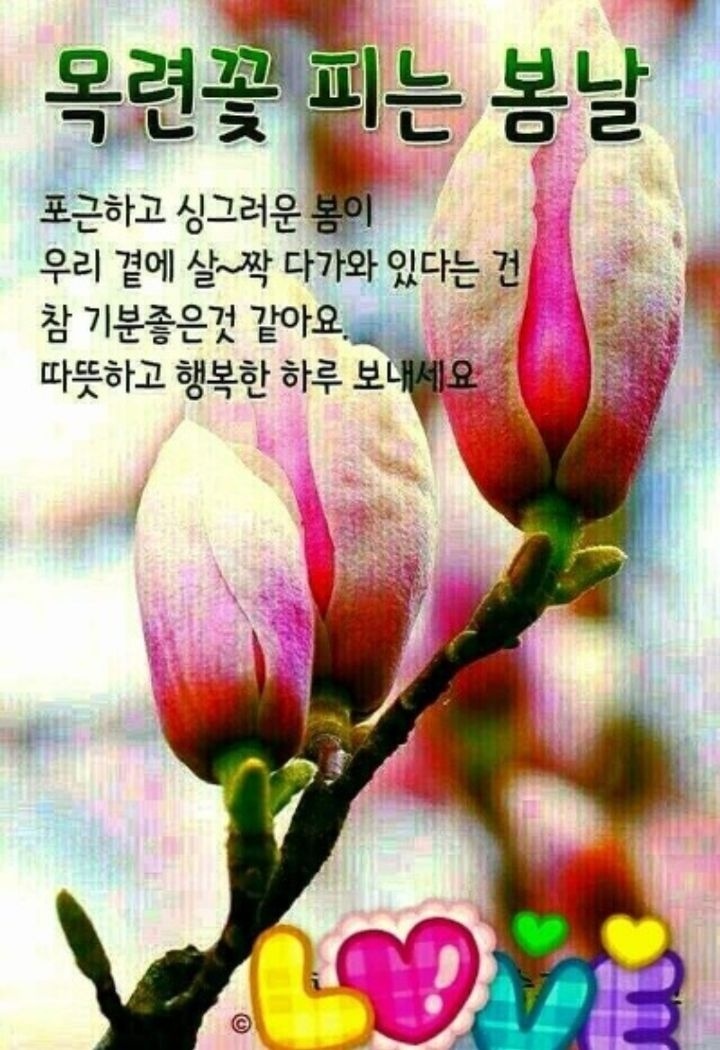 (주)사람과사람사이 이미지