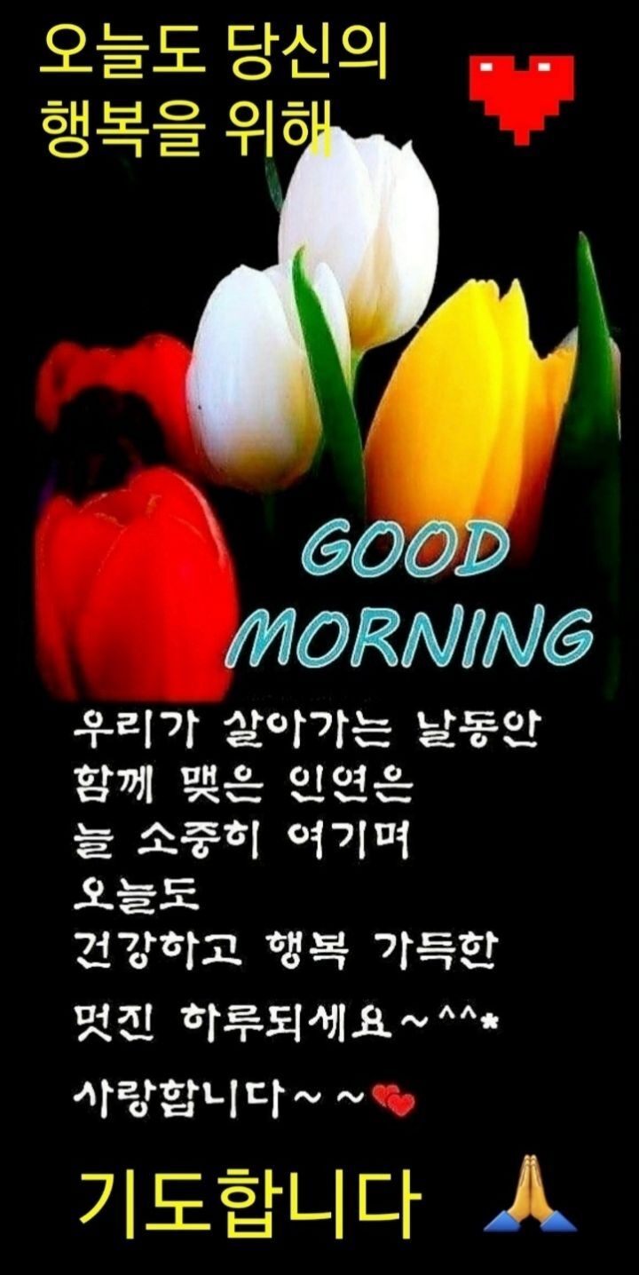 편안한 주말보내세여 - ◎~자유게시판 - 장어원투낚시쉼터 (Feeling-Leisure)