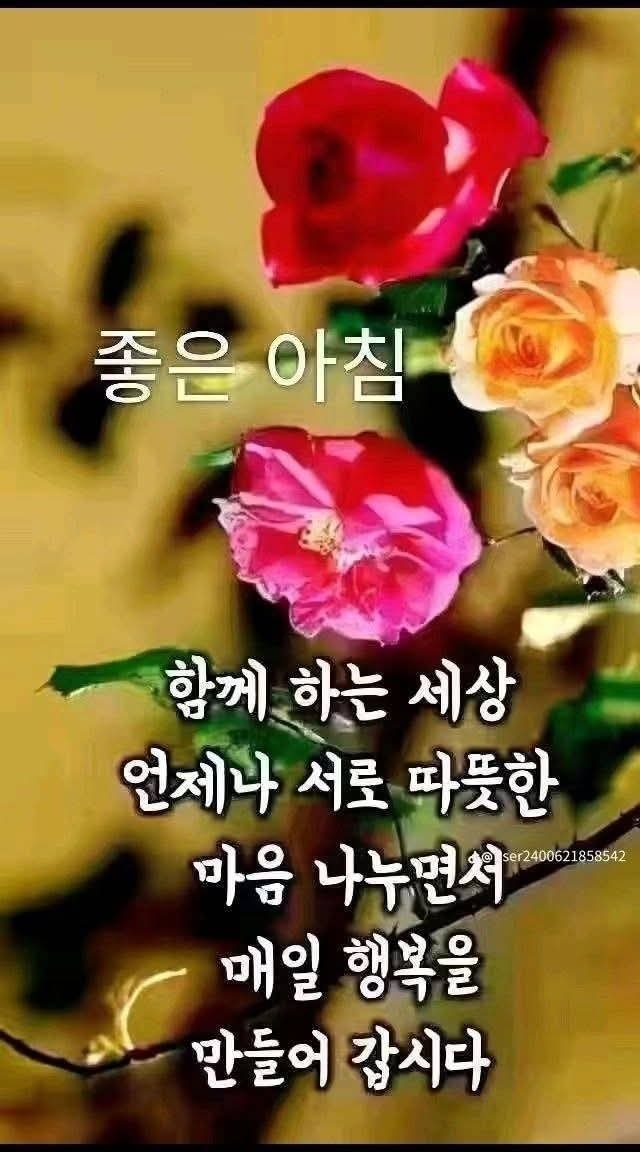 행복한 하루 이미지