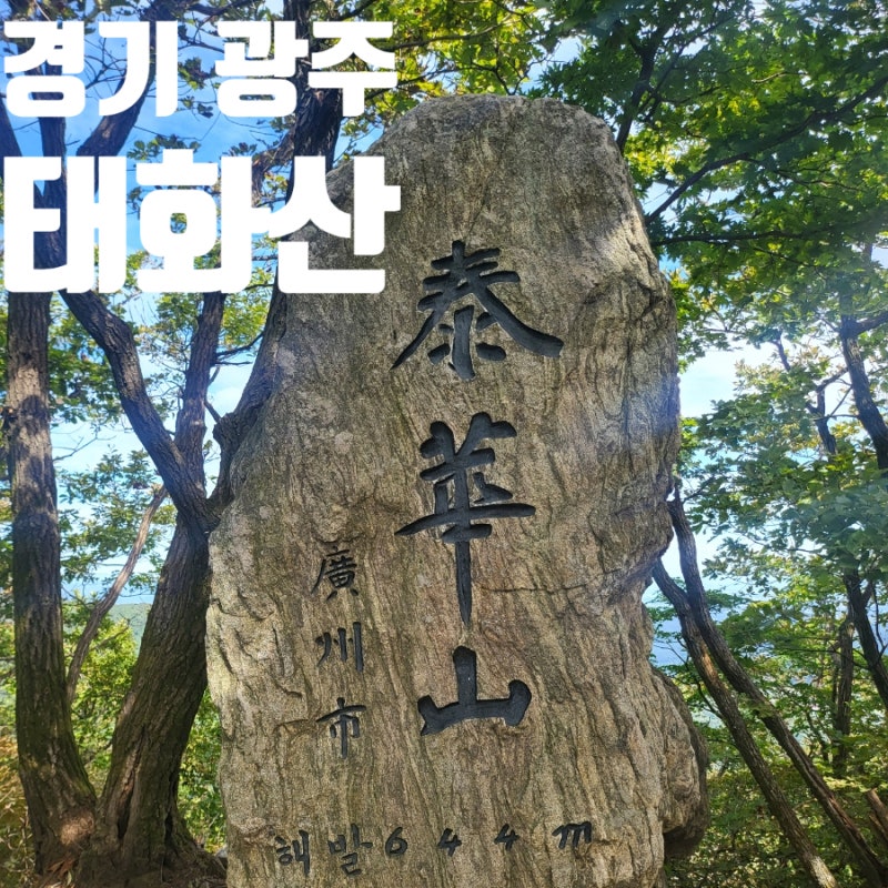 태화산 이미지