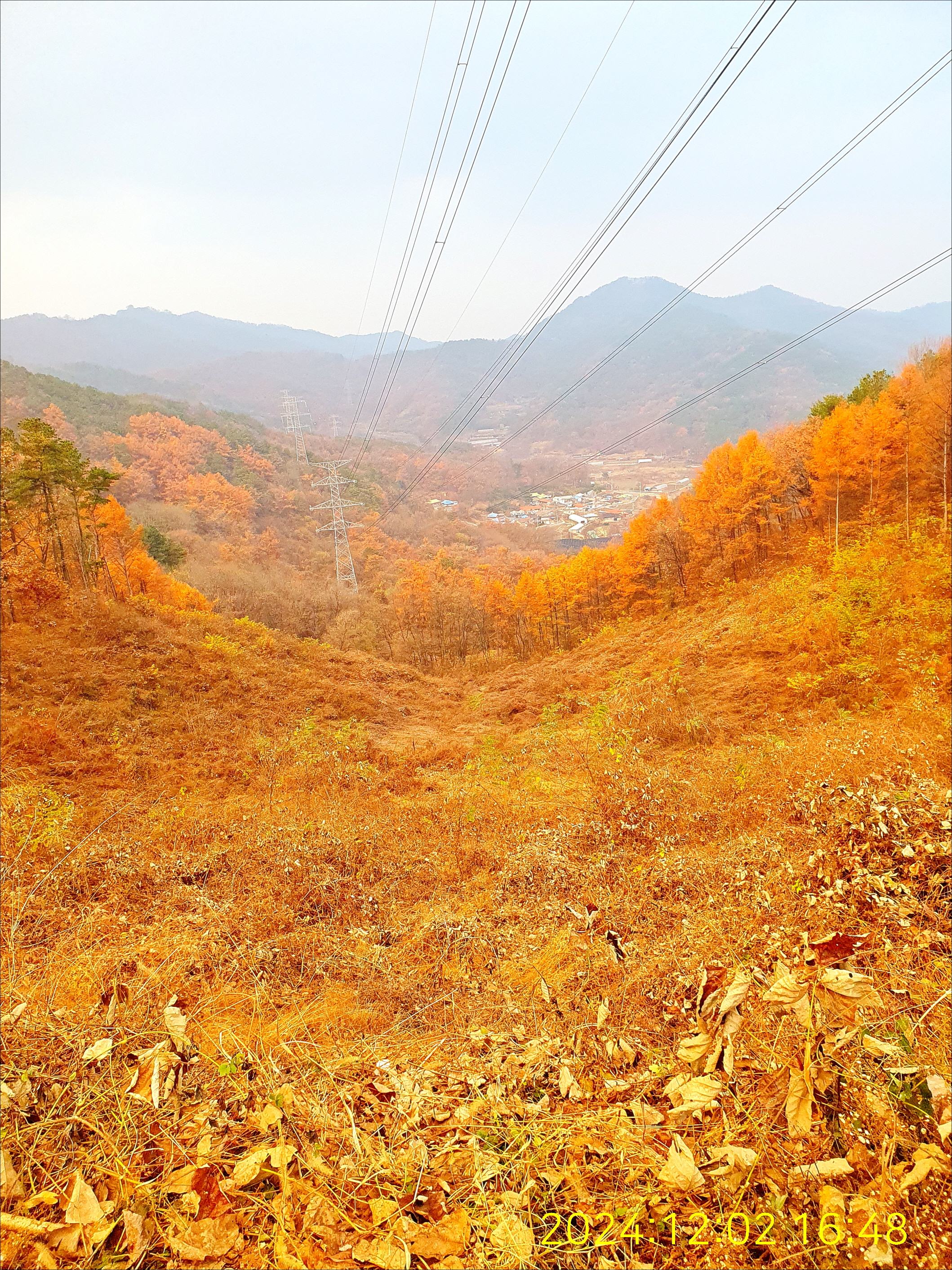 사방댐 이미지