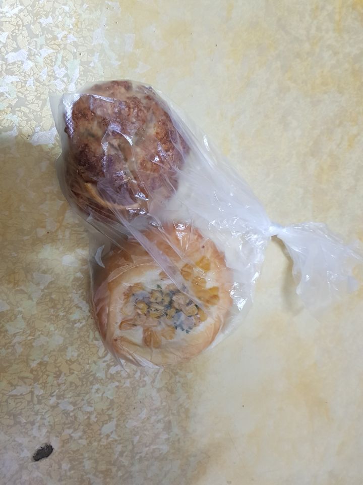 러디칙스 이미지