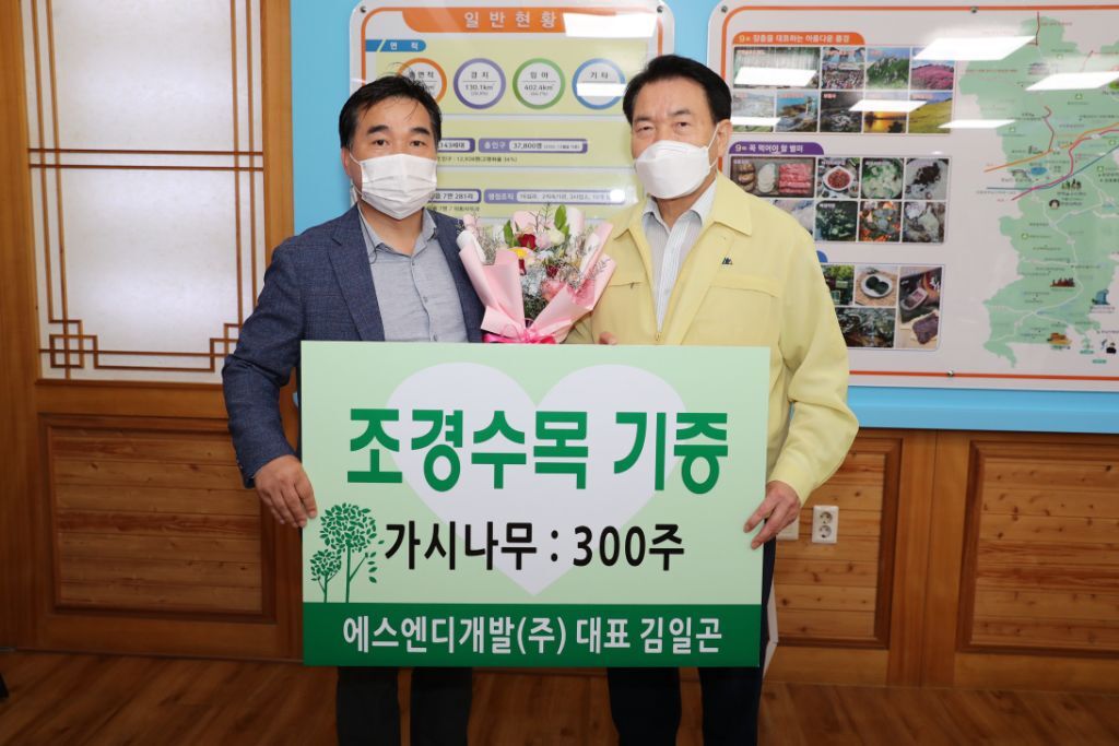 수목개발 이미지