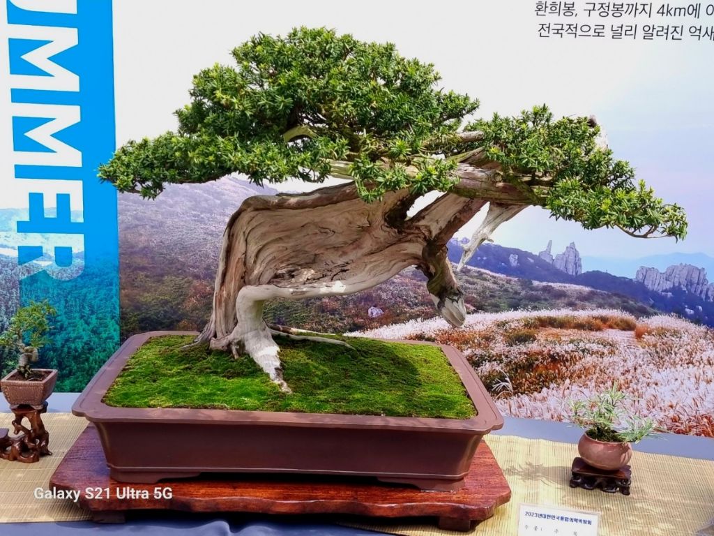 (사)남도분재협회 이미지