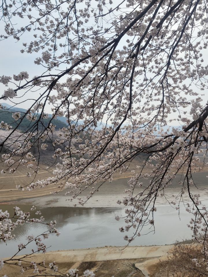 성원엔지니어링 이미지