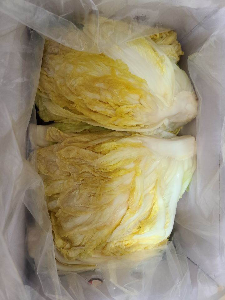 꽃담농원 이미지
