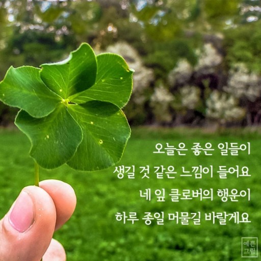 한주로 이미지