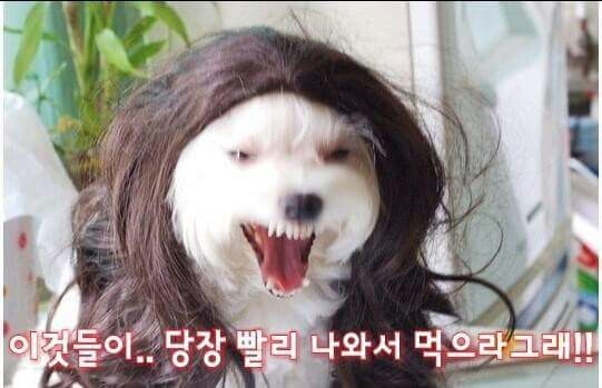 밥묵자 이미지