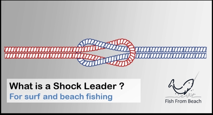 What is a Shock Leader? - 유어 - 발효 인문학, 읽나바