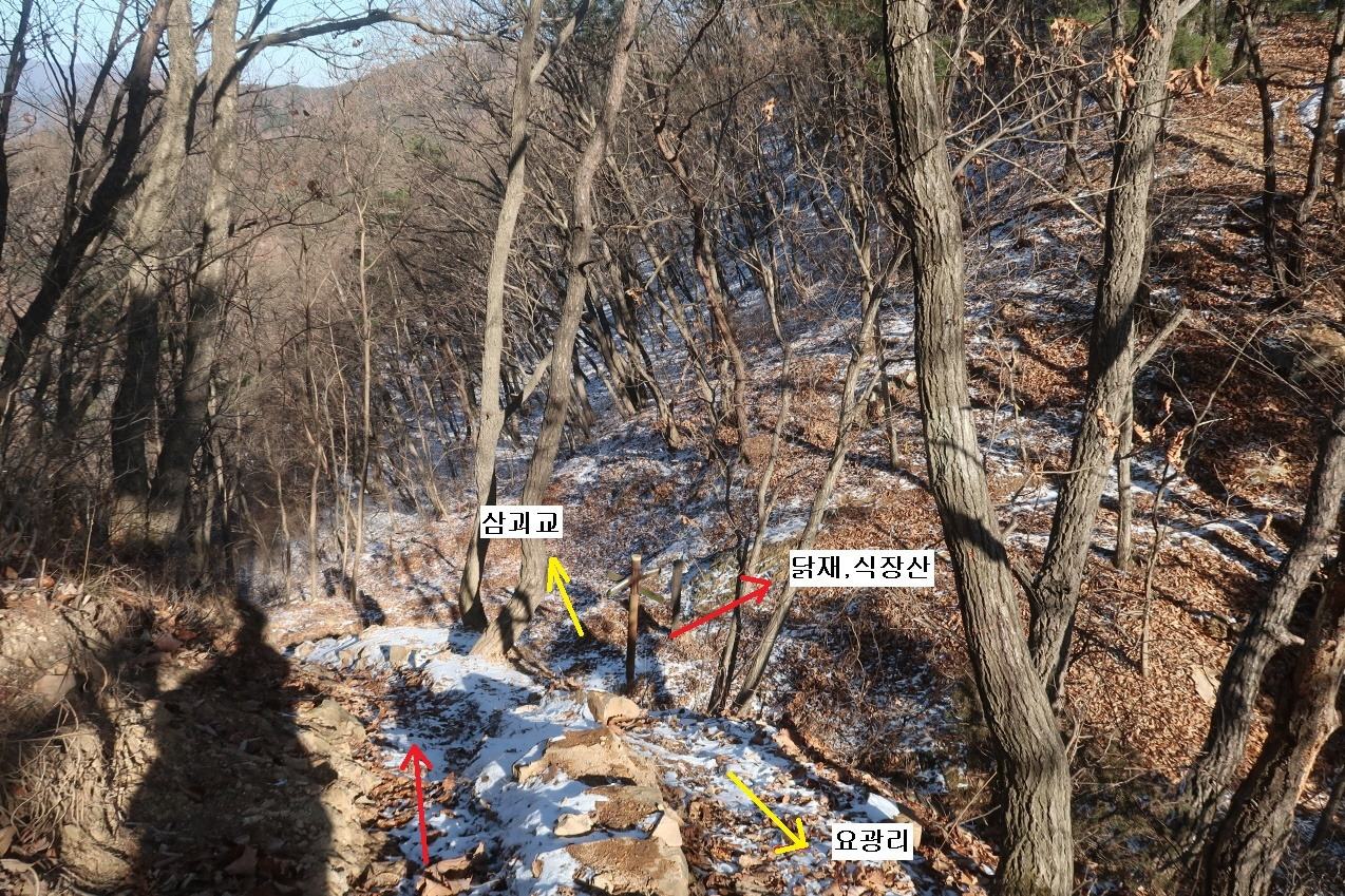 마달(대전) 이미지