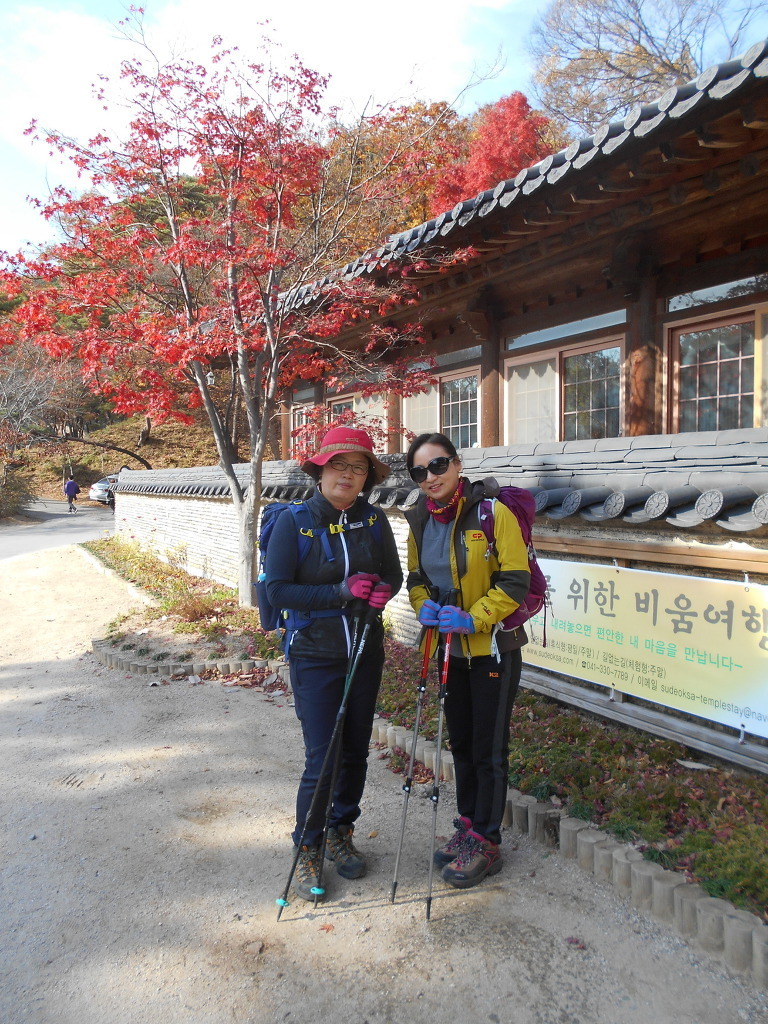 호경 이미지