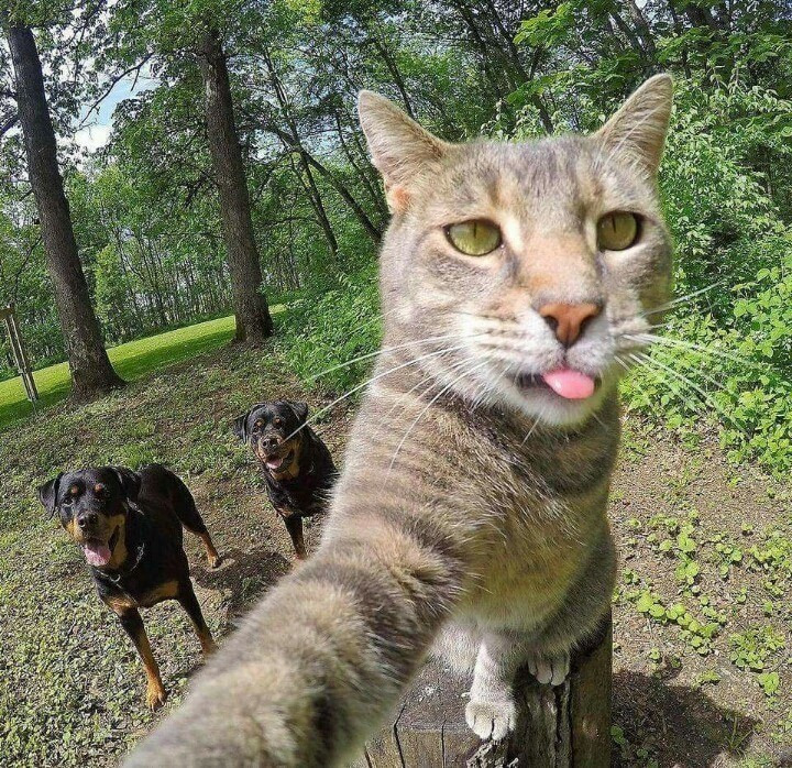 셀카 이미지