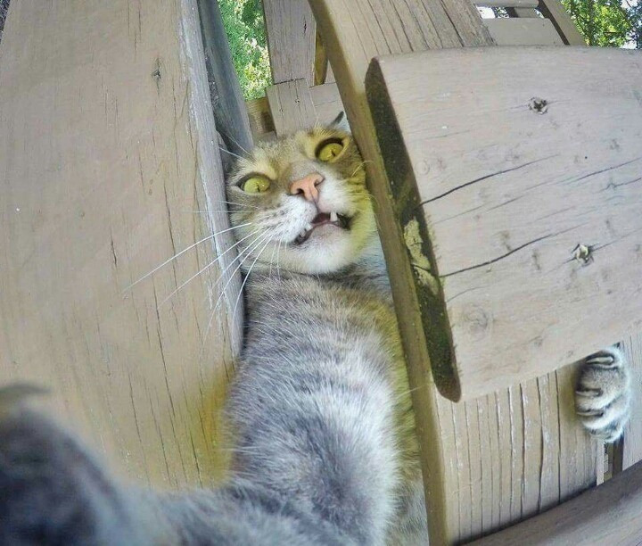 셀카 이미지