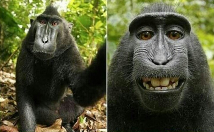 셀카 이미지