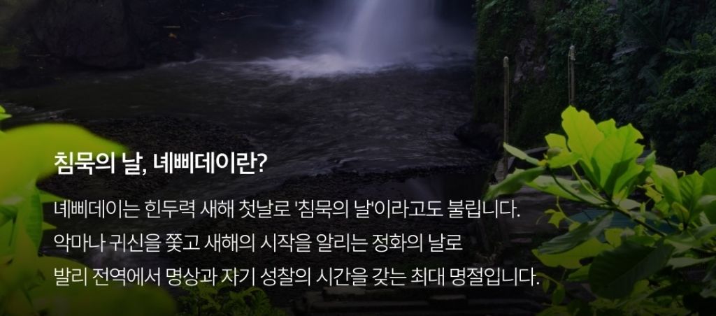 2026년 3월 19일 발리 국제공항 폐쇄 | 인스티즈