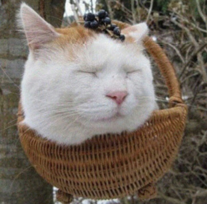 잠꾸러기 이미지