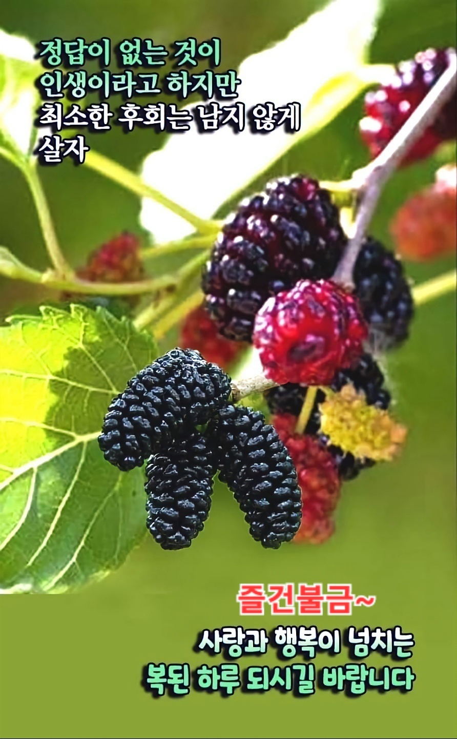 영이 가게 이미지