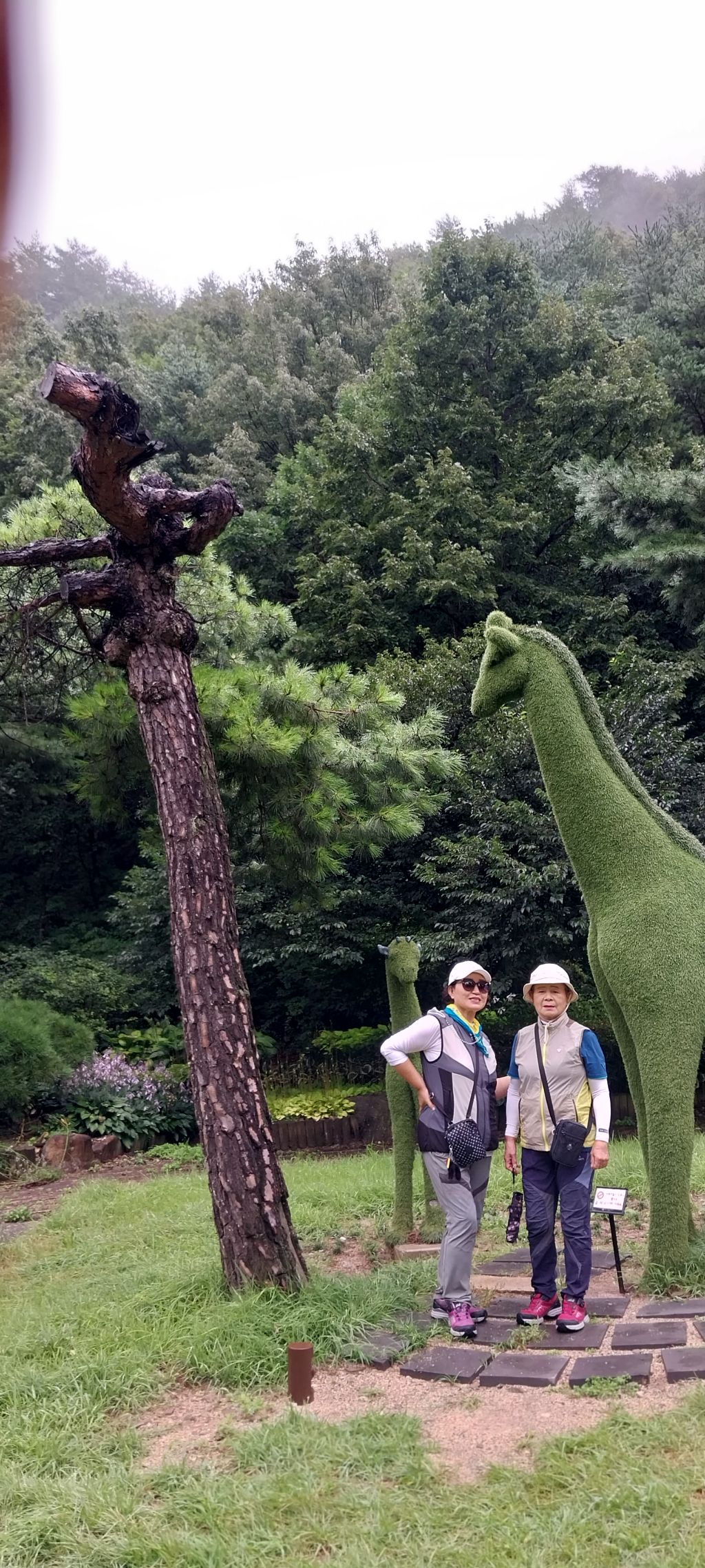 고모라 이미지