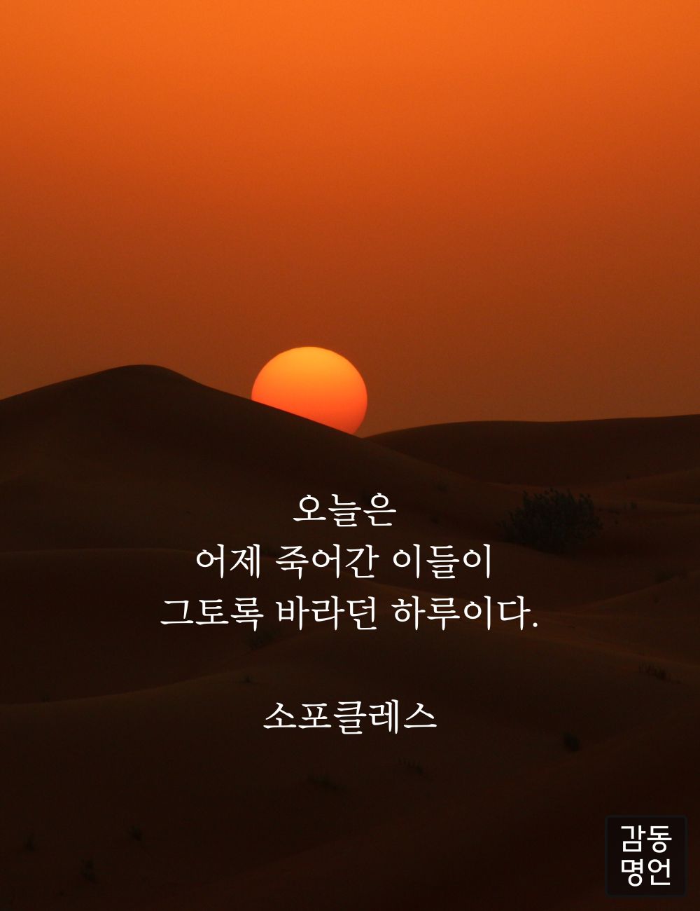 오늘은 이미지