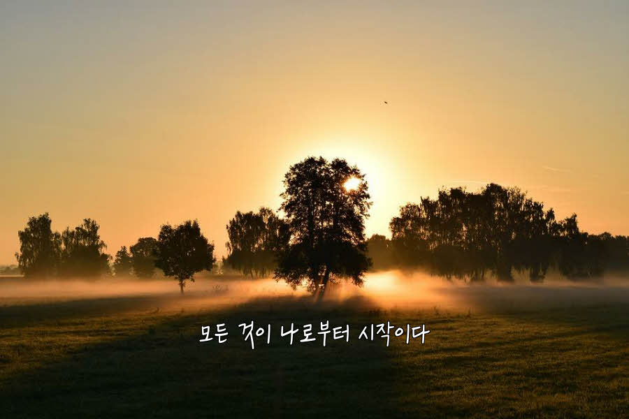 시작 이미지