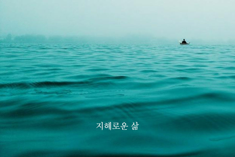 지혜 이미지