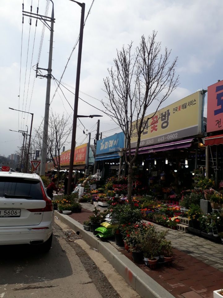 가나안농산 이미지