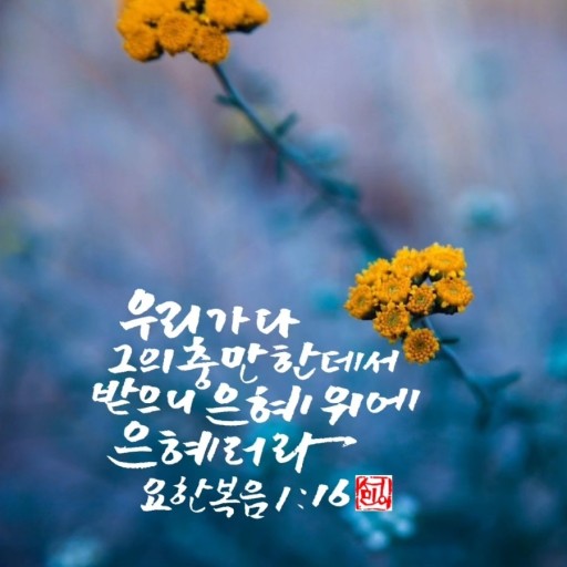 에클레시아(EKKLESIA) 이미지