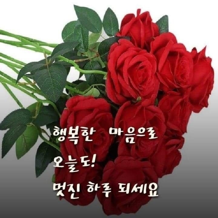 멋진하루 이미지