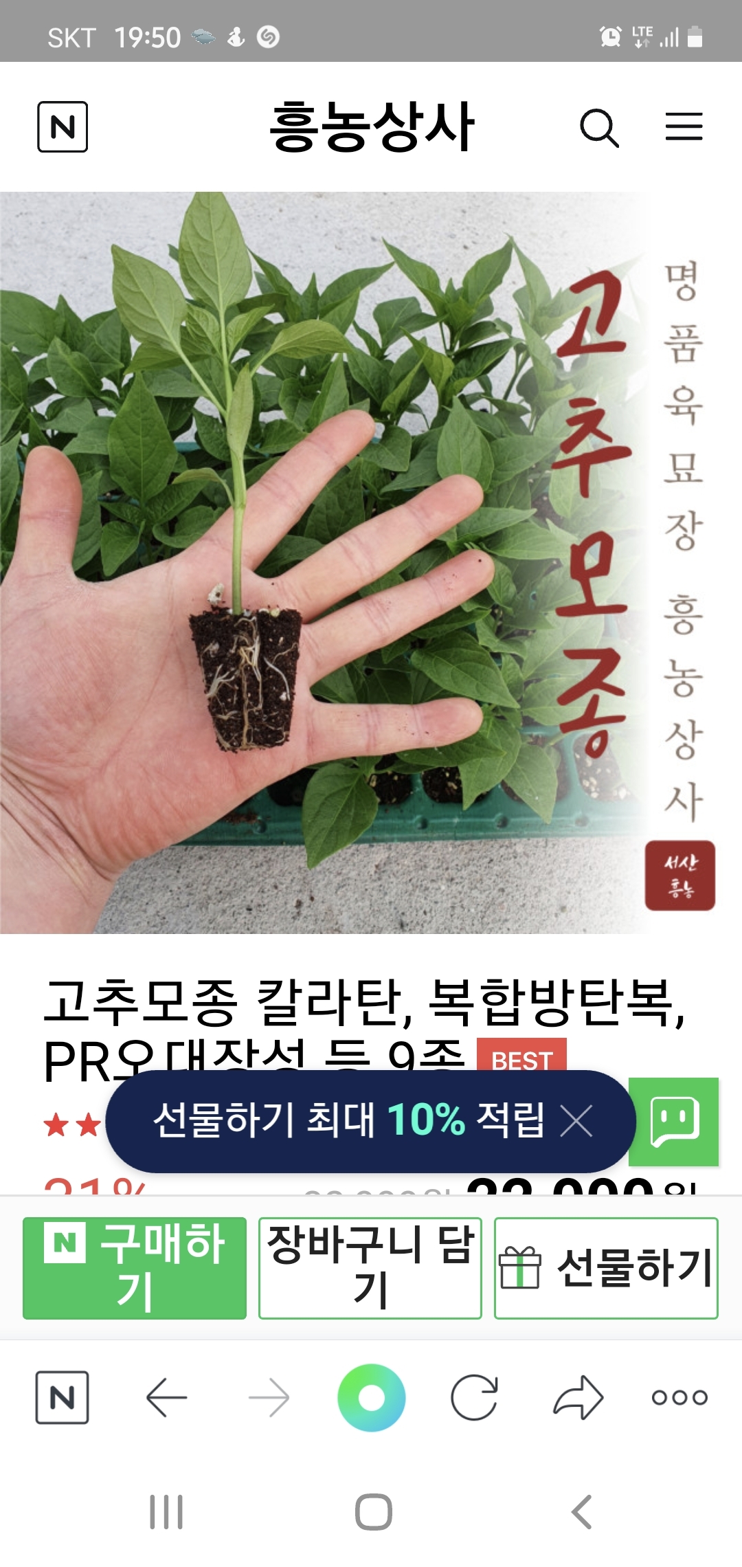 흥농종묘 이미지