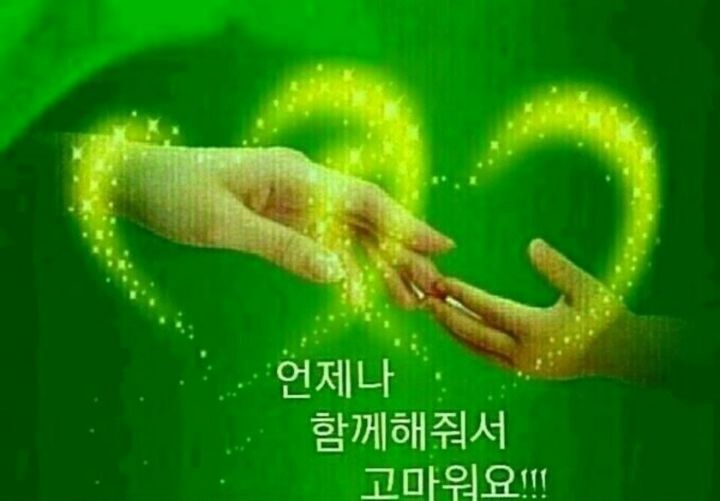 풀꽃향기 이미지