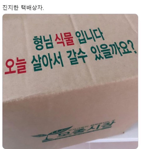 초저녁 이미지