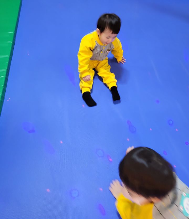 와와랜드 이미지