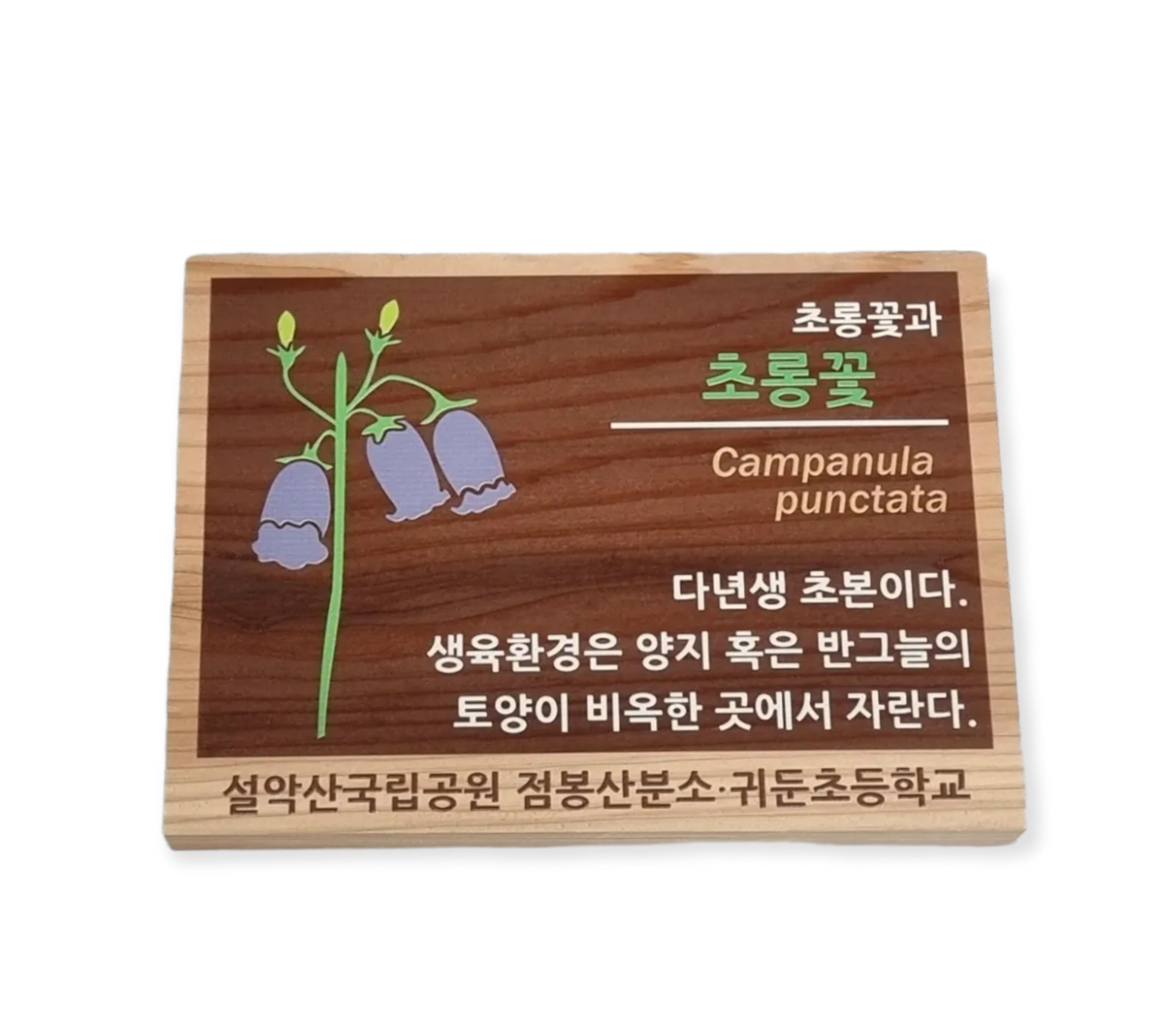 구성환경 이미지