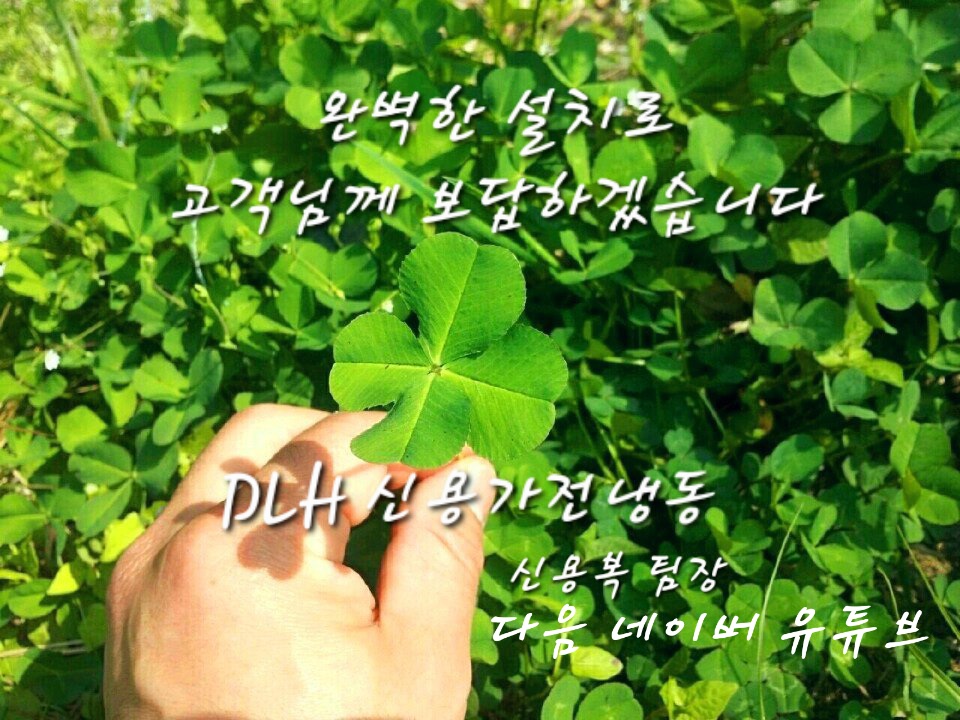 태영냉동 이미지