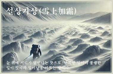 Daum 카페