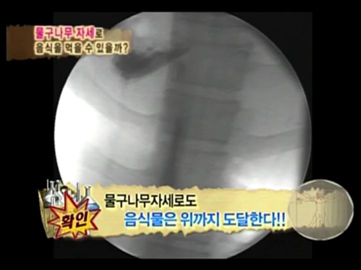 [인체탐험대] 슈주멤들의 '위'의 신비 실험 | 인스티즈