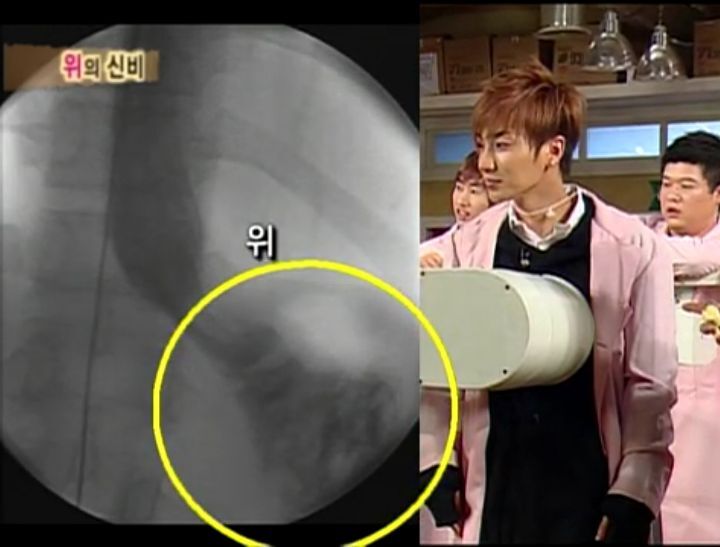 [인체탐험대] 슈주멤들의 '위'의 신비 실험 | 인스티즈