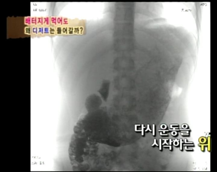 [인체탐험대] 슈주멤들의 '위'의 신비 실험 | 인스티즈