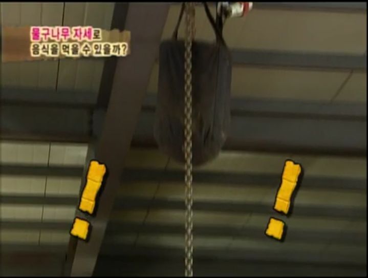 [인체탐험대] 슈주멤들의 '위'의 신비 실험 | 인스티즈