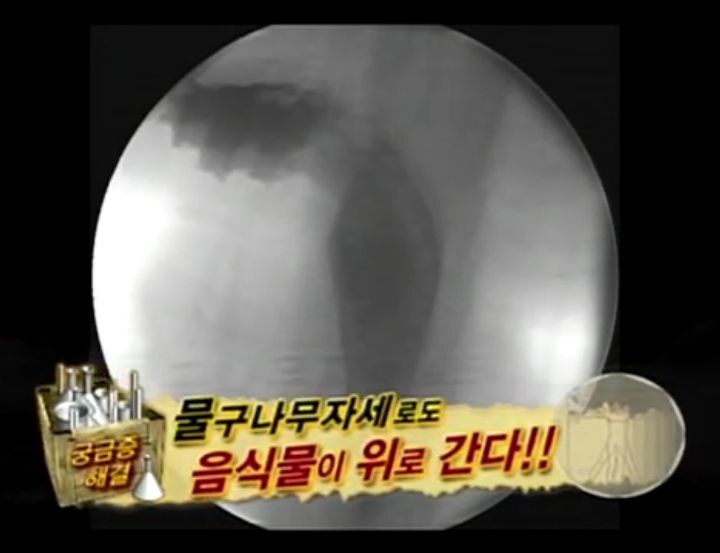 [인체탐험대] 슈주멤들의 '위'의 신비 실험 | 인스티즈