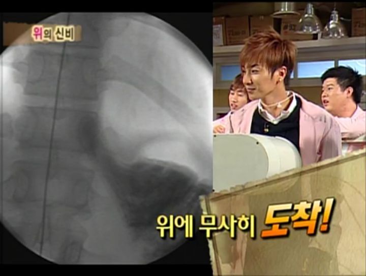 [인체탐험대] 슈주멤들의 '위'의 신비 실험 | 인스티즈