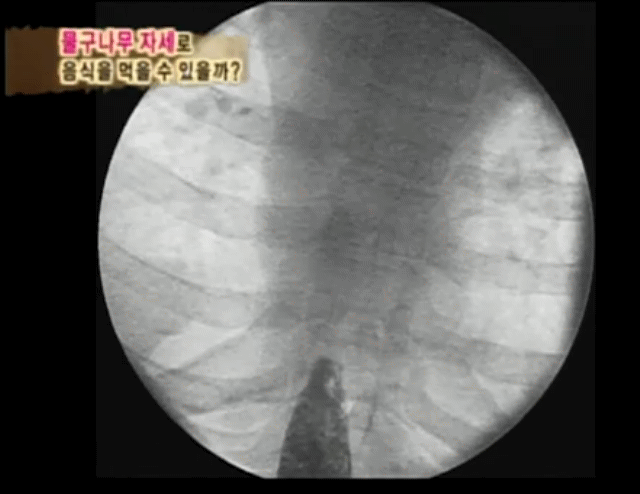 [인체탐험대] 슈주멤들의 '위'의 신비 실험 | 인스티즈