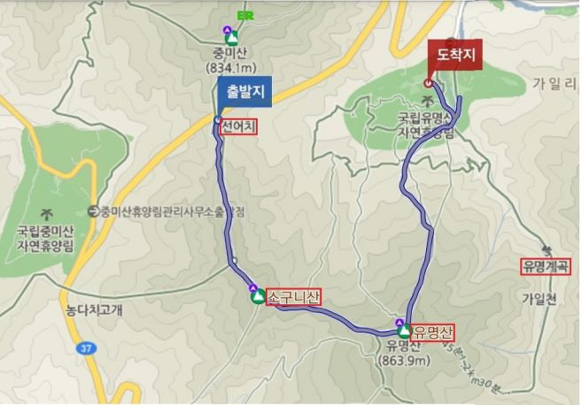 유명산 이미지